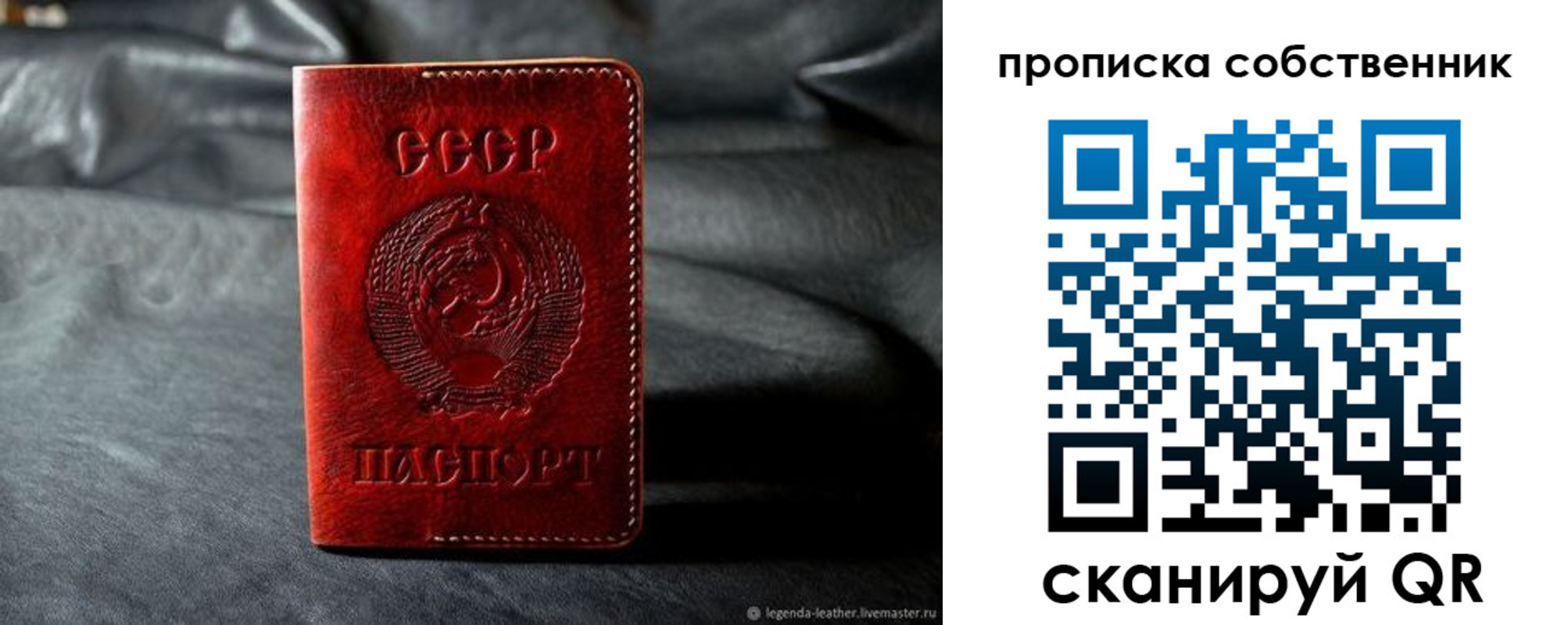 прописка поиск в Мурманской области